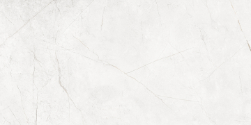 Керамический гранит NL00 60x120x10 Полир.